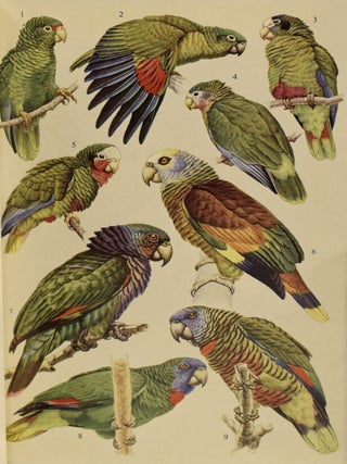 Birds of the West Indies.
