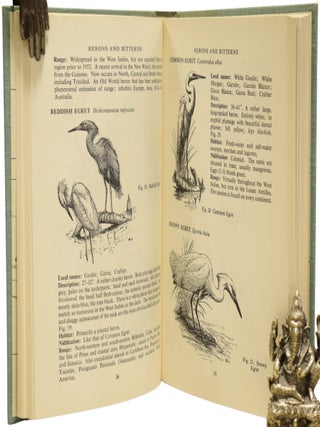 Birds of the West Indies.