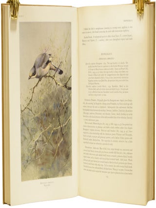 Birds of Arabia.