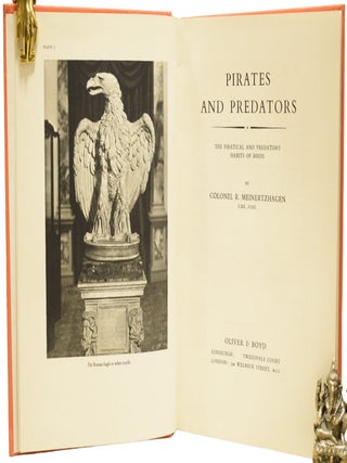 Pirates and Predators. The Piratical and Predatory Habits of Birds.