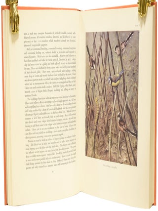 Pirates and Predators. The Piratical and Predatory Habits of Birds.